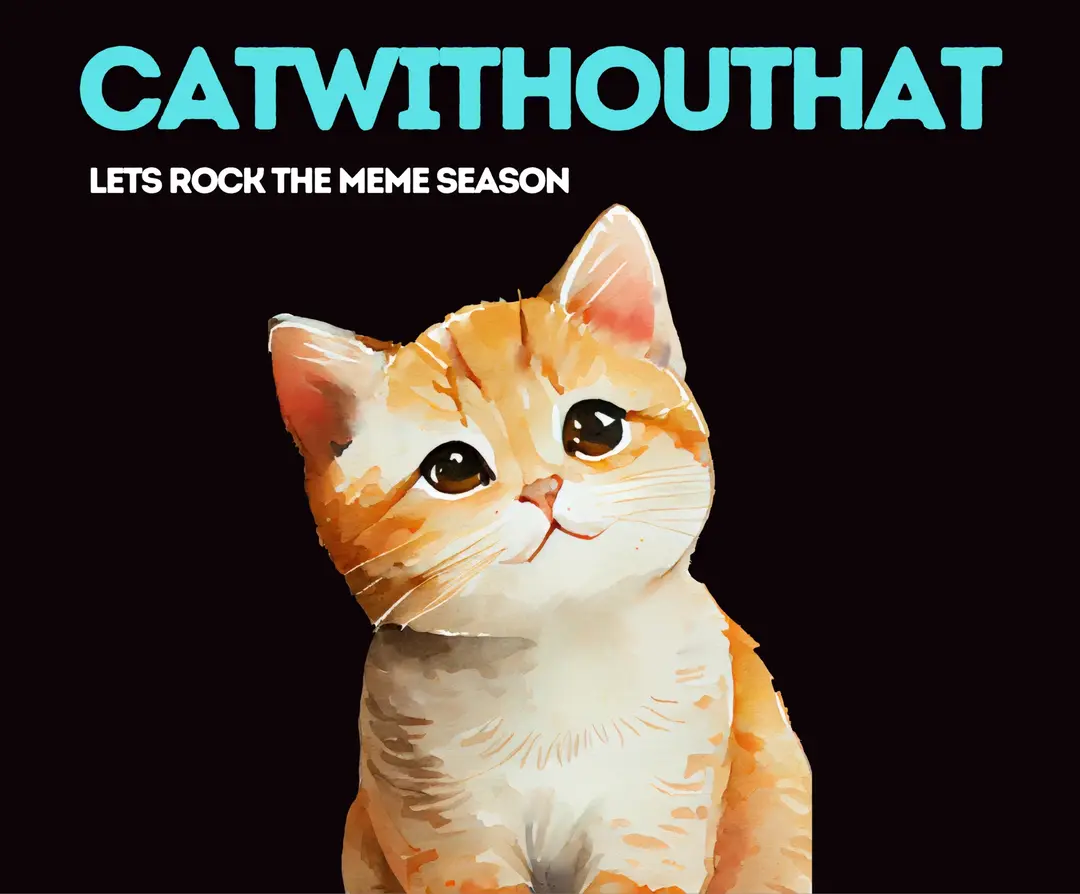 catwithouthatsol